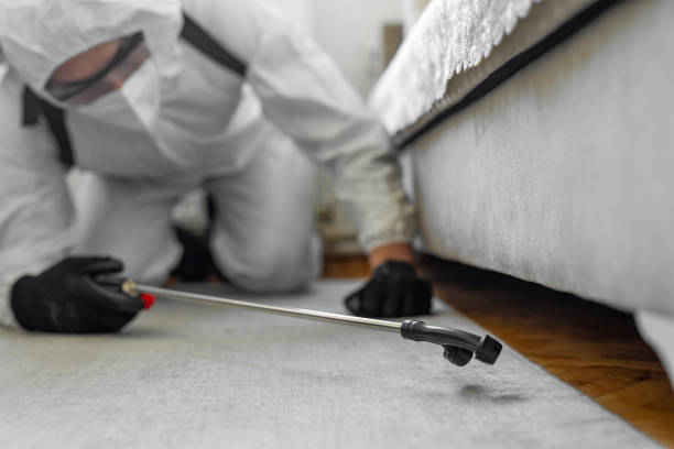 Professional Bed Bug Control technician working in Hideout, UT