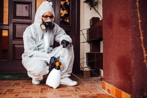 Reliable Bed Bug Control contractor in Hideout, UT by Nex Pest Control